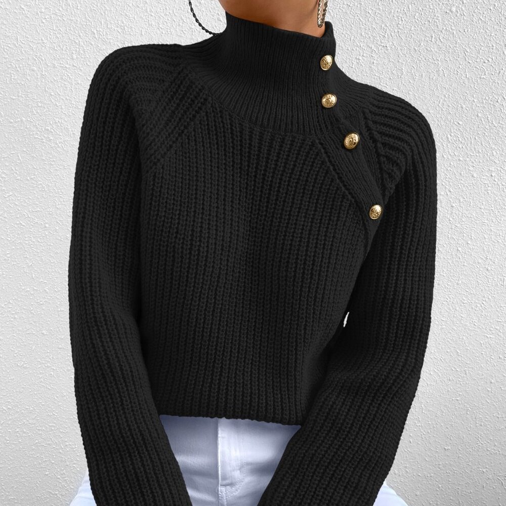 Black Casual Women's Long Sleeve High Neck Sweater